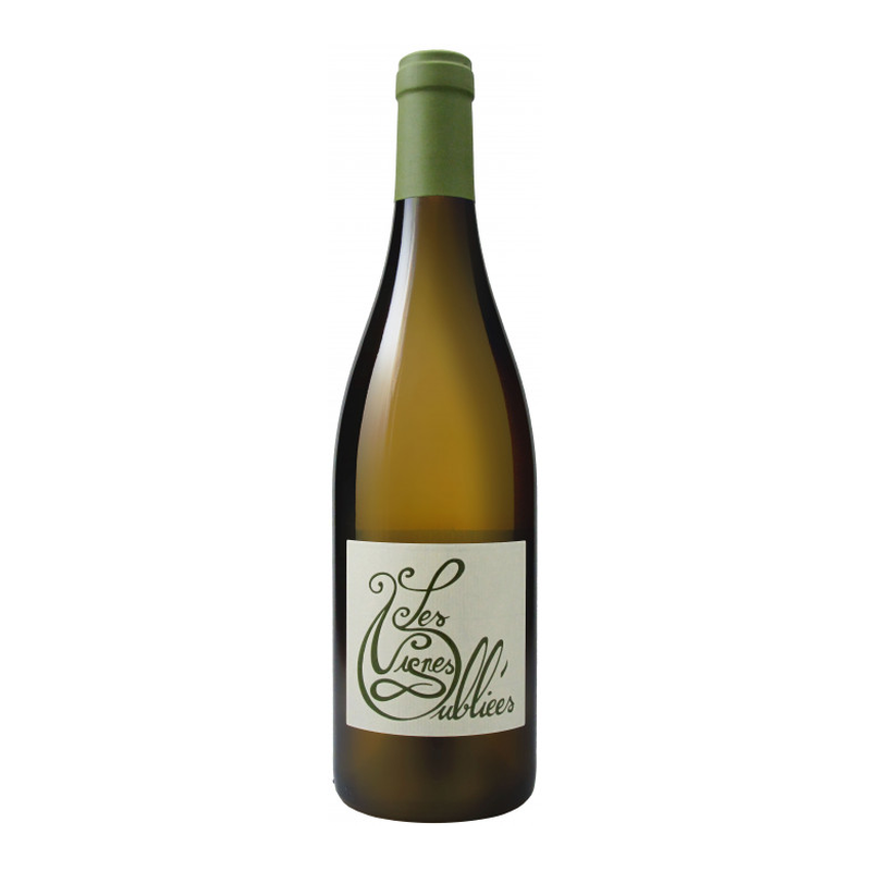 [Terrasses du Larzac Blanc Domaine Les Vignes Oubliees 2023] 被遺忘的葡萄園 拉爾扎克白酒 23