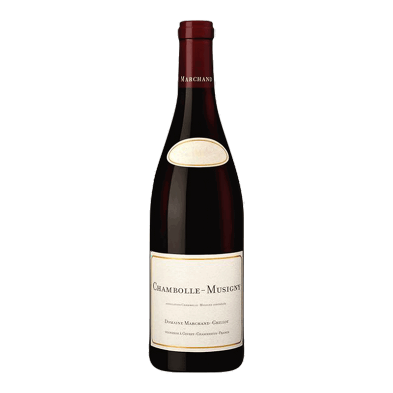 [Chambolle Musigny Domaine Marchand-Grillot 2023] 馬爾尚-格里洛 Chambolle 23