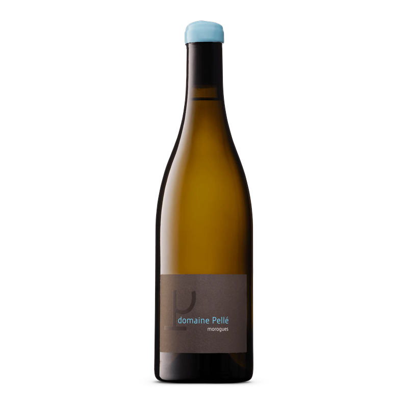 [Menetou Salon Morogues Domaine Pelle 2023] 佩爾·莫洛克斯 23