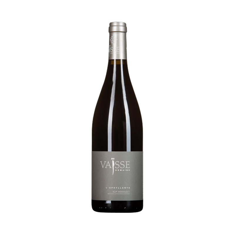 [Vin de Pays de l'Herault Aphyllante Domaine Vaisse 2022] 威斯 Aphylante 22