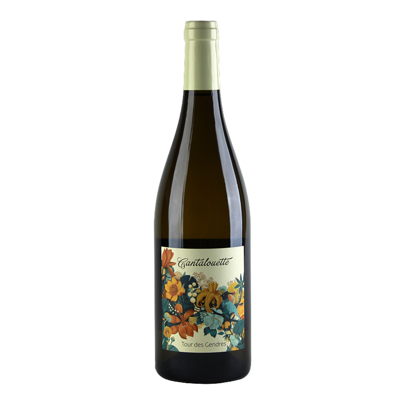 [VdP du Perigord Blanc Cantalouette Domaine Tour des Gendres 2024] 新郎之塔 坎塔盧埃特 白酒 24