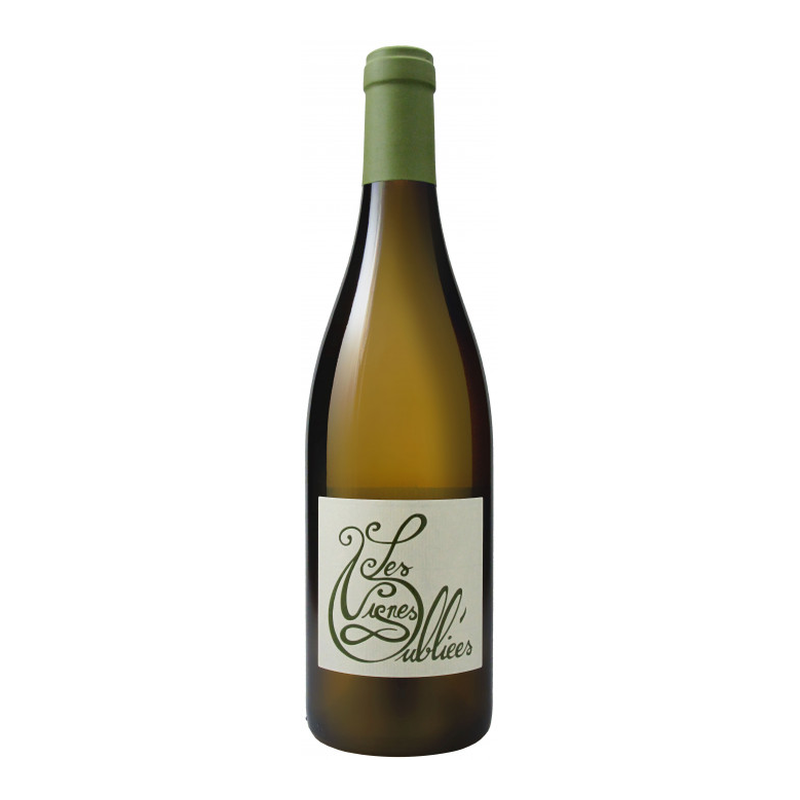 [Terrasses du Larzac Blanc Domaine Les Vignes Oubliees 2024] 被遺忘的葡萄園 拉爾扎克白酒 24