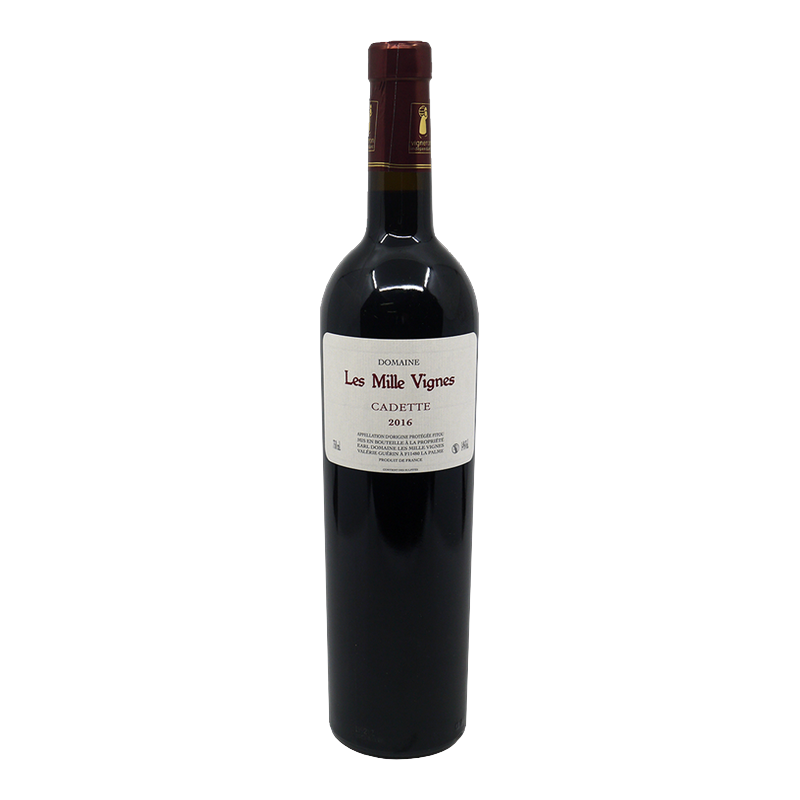 [Fitou Cadette Domaine des Mille Vignes 2021] Mille Vignes 學員 21