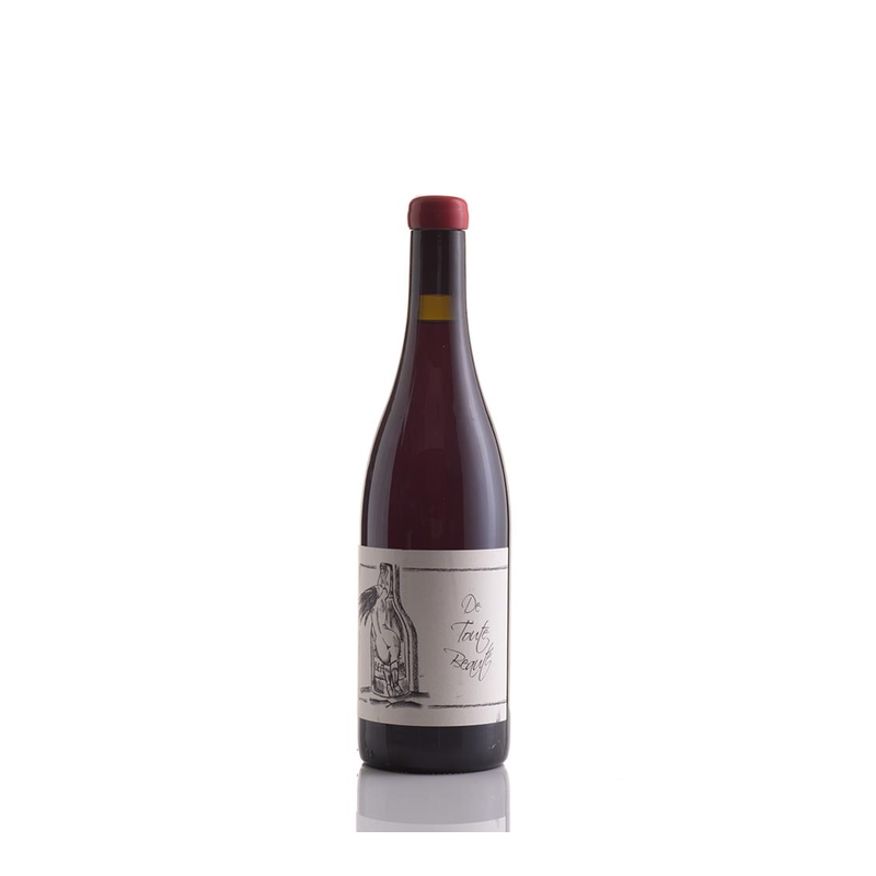 [Vin de France De Toute Beaute Anne et JF Ganevat NV] 加內瓦 全部美好 NV