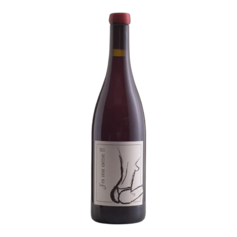 [Vin de France J'en Veux Encore Anne et JF Ganevat NV] 加內瓦 我還想要 NV